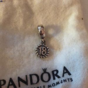 18 pandora charm